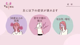 女性に多いです！腎盂腎炎